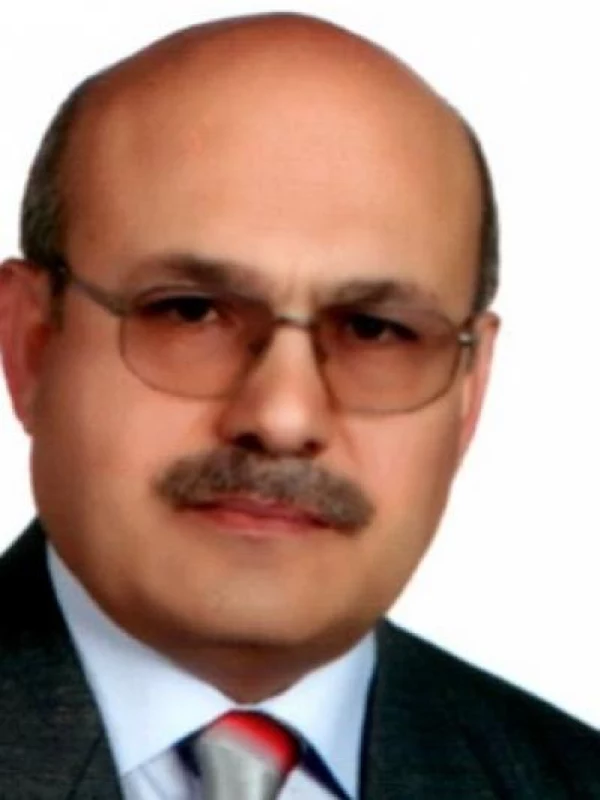 İbrahim Ethem Güler